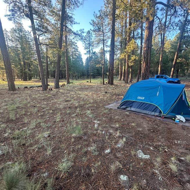 Forest dispersed camping with RV