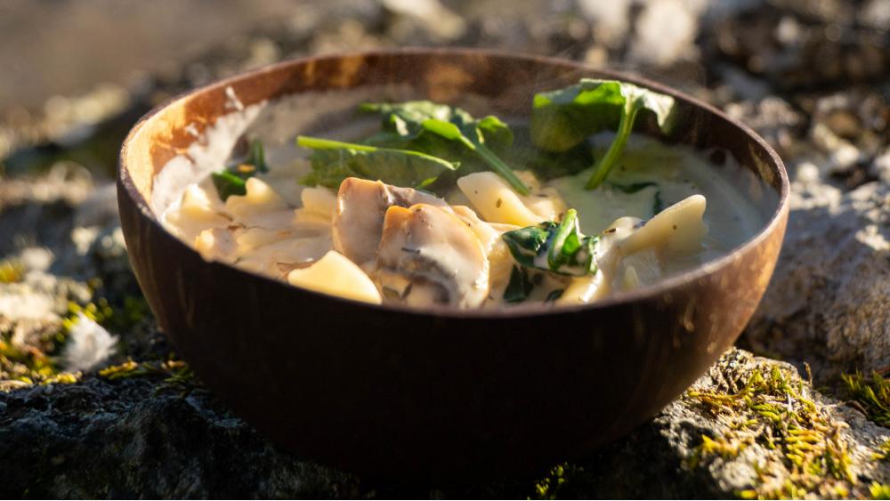 Mushroom spinach pasta outdoors