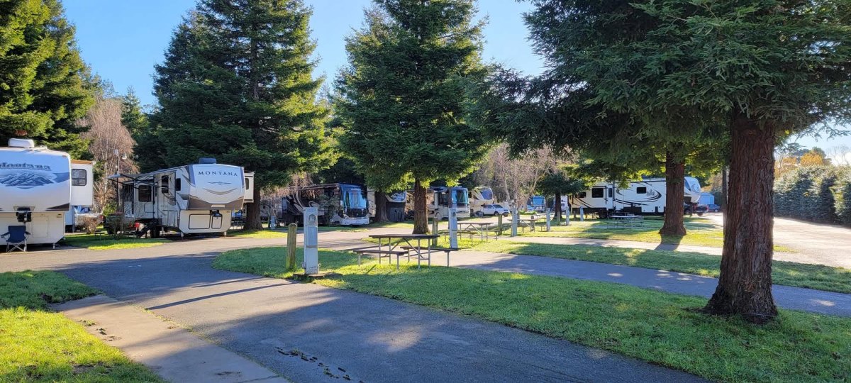 RV campground with hookups and trees