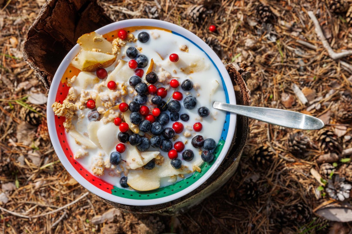 Yogurt granola camping bowl